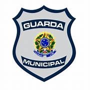 Projeto que Cria a Guarda Municipal (GCMP), é aprovado por unanimidade pelos vereadores, durante a Sessão desta Terça-Feira (05).